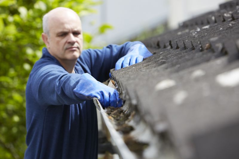Gutter Maintenance Companies